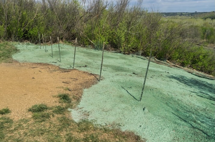 Freshly hydroseeded area on a sloped site in New Jersey with visible green slurry and erosion control stakes, showing soil stabilization work typical of projects in Monmouth, Ocean, Middlesex, Mercer, and Burlington Counties.