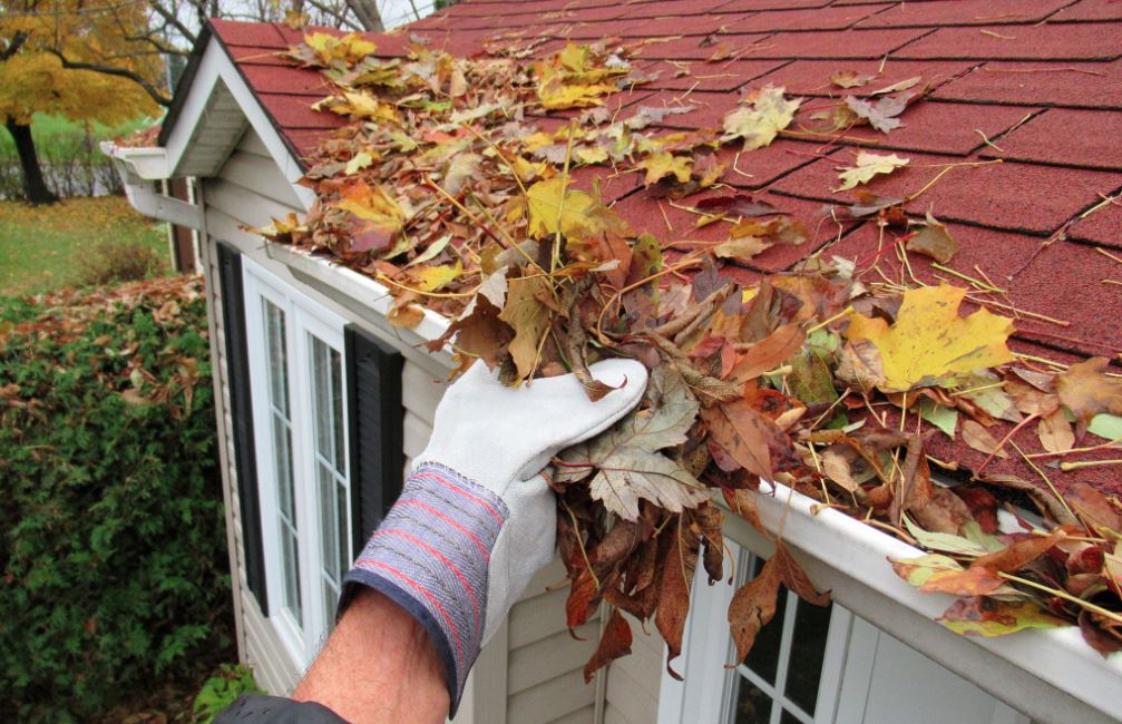 nj gutter cleaning drainage