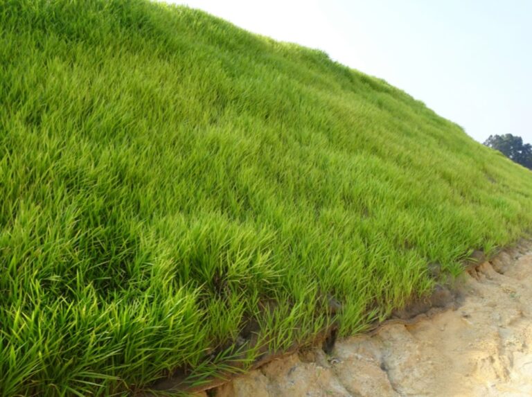 Maintaining Erosion Control Measures During Construction Projects