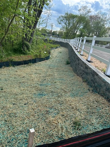 hydroseeding bare areas nj erosion control